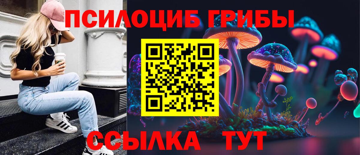 Галлюциногенные грибы GOLDEN TEACHER Петрозаводск